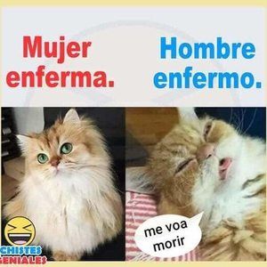 Meet your Posher, Astrid